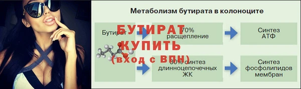 прущие грибы Богданович